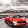 Eurographics 2015 Ford Mustang GT Fifty Years of Power* Voitures, Motos Et Camions|États-Unis Et Canada