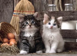 Clementoni Adorables Chatons* Chats|De 1 000 Pièces