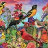 Bluebird Puzzle Aimee Stewart - Birds and Blooms Garden* Oiseaux|Forêts, Fleurs Et Jardins