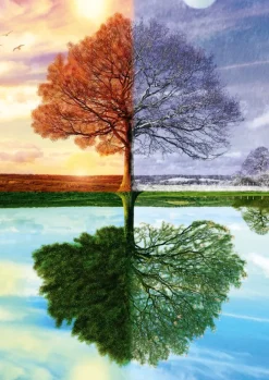 Schmidt Spiele Arbre des 4 Saisons* Forêts, Fleurs Et Jardins