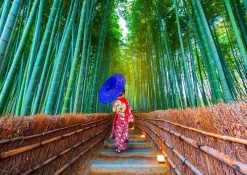Enjoy Puzzle Asian Woman in Bamboo Forest*Femme Hommes Et Femmes|Forêts, Fleurs Et Jardins