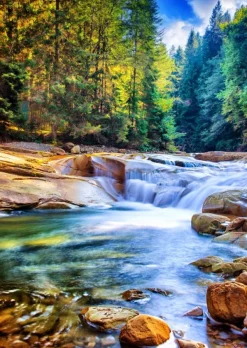 Grafika Belle Cascade dans la Forêt* De 2 000 Pièces|De 2 000 Pièces
