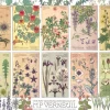 Cobble Hill Botanicals by Verneuil*Enfant Puzzles Pour Enfants|Collages