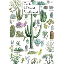Master Pieces Cacti of the Desert Southwest* États-Unis Et Canada|Forêts, Fleurs Et Jardins