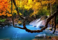 Grafika Kids Cascade en Forêt à l'Automne*Femme Zen Et Bien Être|Cascades