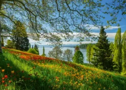 Schmidt Spiele Champ de Tulipes - Ile de Mainau* Forêts, Fleurs Et Jardins|De 1 000 Pièces