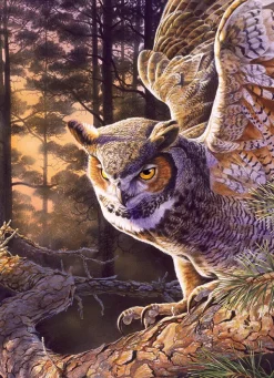 Cobble Hill Chasseur le Soir* Oiseaux|Forêts, Fleurs Et Jardins