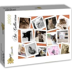 Grafika Chats* De 2 000 Pièces|De 2 000 Pièces
