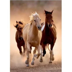 Clementoni Chevaux au Galop I* Chevaux|De 1 000 Pièces