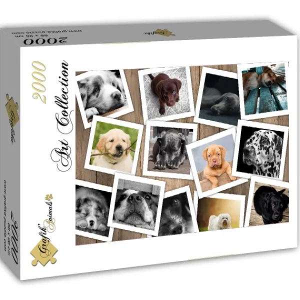 Grafika Chiens* De 2 000 Pièces|De 2 000 Pièces