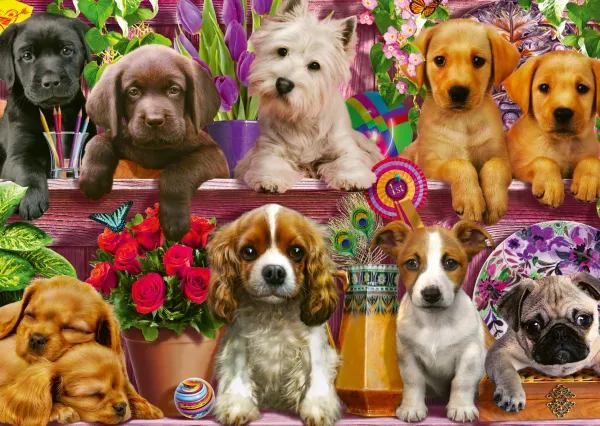 Schmidt Spiele Chiens sur l'Etagère* Chiens|De 500 À 999 Pièces