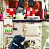 Otter House Puzzle Christmas Kitchen*Femme Chiens|Rétros Et Nostalgie