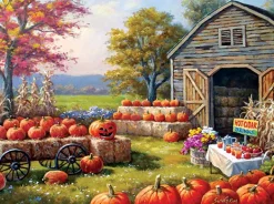 SunsOut Citrouilles à Vendre*Femme Halloween|Forêts, Fleurs Et Jardins