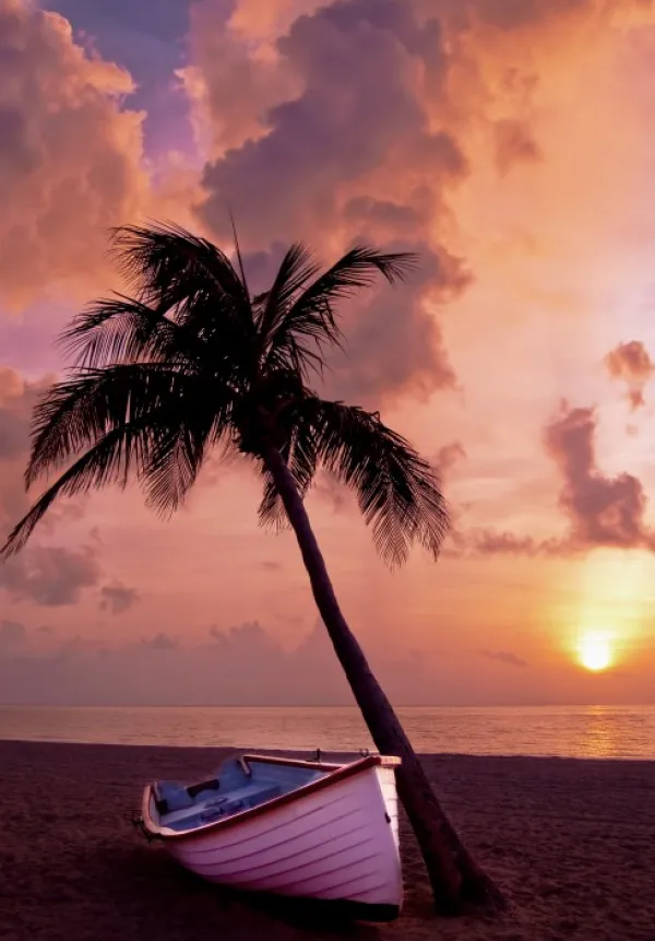 Grafika Kids Coucher de Soleil au Paradis*Enfant Bateaux|Soleil, Lune