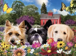 SunsOut Coucou* Chiens|Forêts, Fleurs Et Jardins