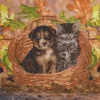 Crystal Art - Kit Broderie Diamant - Chat et Chien* Broderie Diamant|Chiens