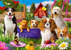 Enjoy Puzzle Écusson pour Chiot* Chiens|Forêts, Fleurs Et Jardins