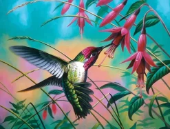 SunsOut Cynthie Fisher - Hummingbird Haven* Oiseaux|De 500 À 999 Pièces