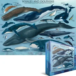 Eurographics Dauphins et Baleines* Dauphins|Animaux Marins