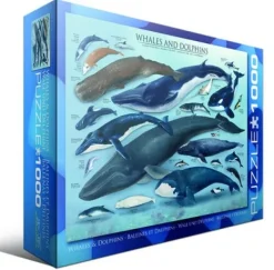 Eurographics Dauphins et Baleines* Dauphins|Animaux Marins