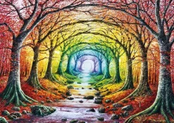 Magnolia David Mateu - Birth of Light* Forêts, Fleurs Et Jardins|De 1 000 Pièces