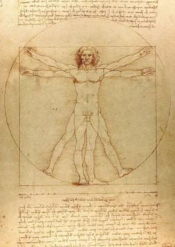 Enjoy Puzzle De Vinci Léonard - De Vinci - L'Homme de Vitruve* Art|De 1 000 Pièces