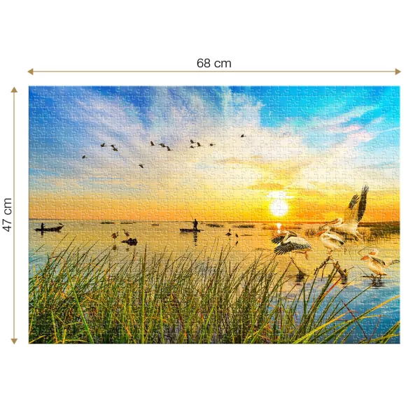 Roovi Delta du Danube* Oiseaux|Animaux Sauvages