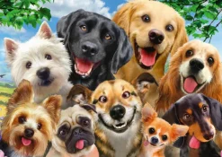 Schmidt Spiele Dogs' Selfy*Femme Chiens|Humour, Satire Et Wasgij