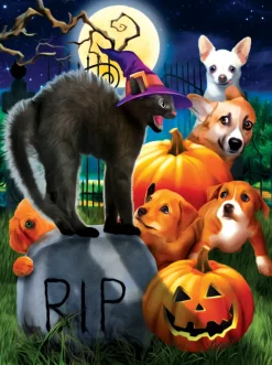 SunsOut Don't Mess with Kitty*Femme Chiens|Chats