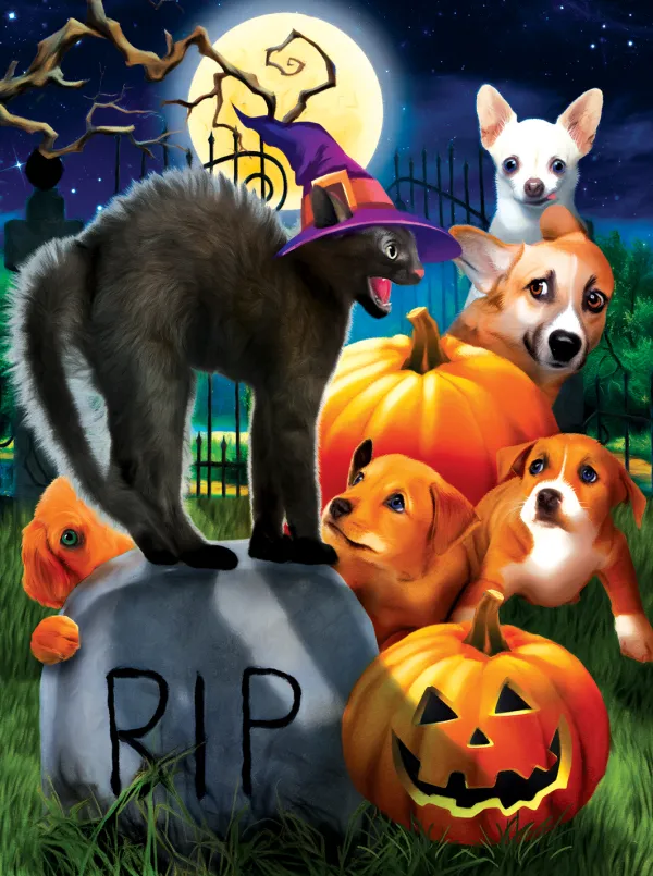 SunsOut Don't Mess with Kitty*Femme Chiens|Chats