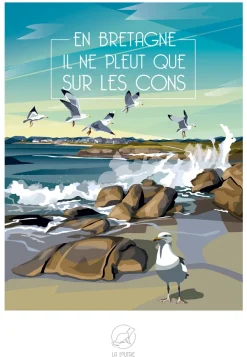 La Loutre En BRETAGNE Il ne pleut que sur les Cons* Oiseaux|Animaux Marins