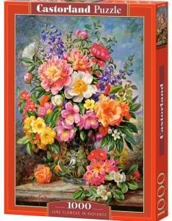 Castorland Fleurs de Juin dans un Éclat Radieux* Forêts, Fleurs Et Jardins|De 1 000 Pièces