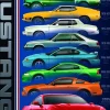 Eurographics Ford Mustang 50th Anniversary* Voitures, Motos Et Camions|Collages