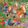 HOP - House of Puzzles Foxy Ladies* Animaux De La Forêt|Forêts, Fleurs Et Jardins