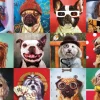 Eurographics Funny Dogs*Femme Chiens|Humour, Satire Et Wasgij