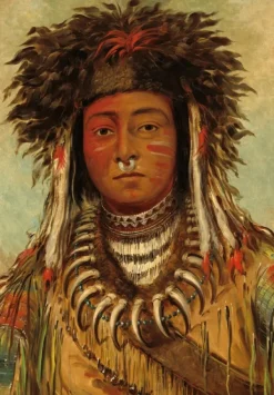 Grafika Kids George Catlin : Chef Indien - Ojibbeway, 1843*Enfant Art|Dès 6 Ans : 50 À 100 Pièces