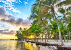 Bluebird Puzzle Guadeloupe - Anse Champagne* Plages Et Îles De Rêve|De 500 À 999 Pièces