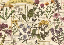 Trefl Herbier : Herbes Médicinales* Collages|Forêts, Fleurs Et Jardins