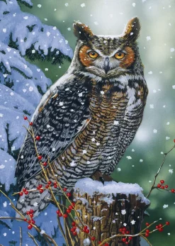 Alipson Puzzle Hibou Silencieux* Oiseaux|De 500 À 999 Pièces