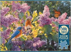 Cobble Hill Intermède de Printemps*Enfant Oiseaux|Forêts, Fleurs Et Jardins