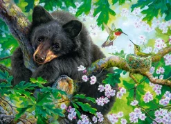 Castorland J'aimerais Pouvoir Voler*Enfant À Partir De 9 Ans|Oiseaux