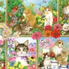 Bluebird Puzzle Jane Mayday - Chats et Chatons* Chats|Forêts, Fleurs Et Jardins