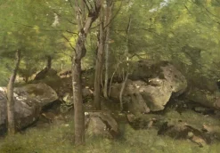 Grafika Kids Jean-Baptiste-Camille Corot : Rochers en Forêt de Fontainebleau, 1860-1865*Enfant Art|Dès 6 Ans : 50 À 100 Pièces