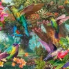 Schmidt Spiele Jeu de Couleurs du Colibri* Oiseaux|Forêts, Fleurs Et Jardins