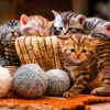Bluebird Puzzle Kittens in Basket* Chats|De 1 000 Pièces