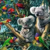 Ravensburger Koalas dans l'Arbre* Oiseaux|Animaux De La Forêt