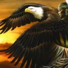 SunsOut La Fille de l'Aigle*Femme Oiseaux|Hommes Et Femmes