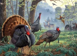 SunsOut Larry Zach - Old Tom's Farm* Animaux De La Forêt|De 1 000 Pièces