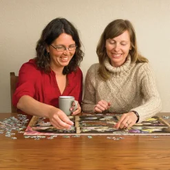 Cobble Hill L'Auberge des Poussins*Femme Oiseaux|Humour, Satire Et Wasgij