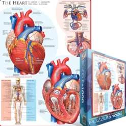 Eurographics Le coeur*Enfant Puzzles Pour Enfants|De 1 000 Pièces